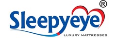 sleepyeye-logo